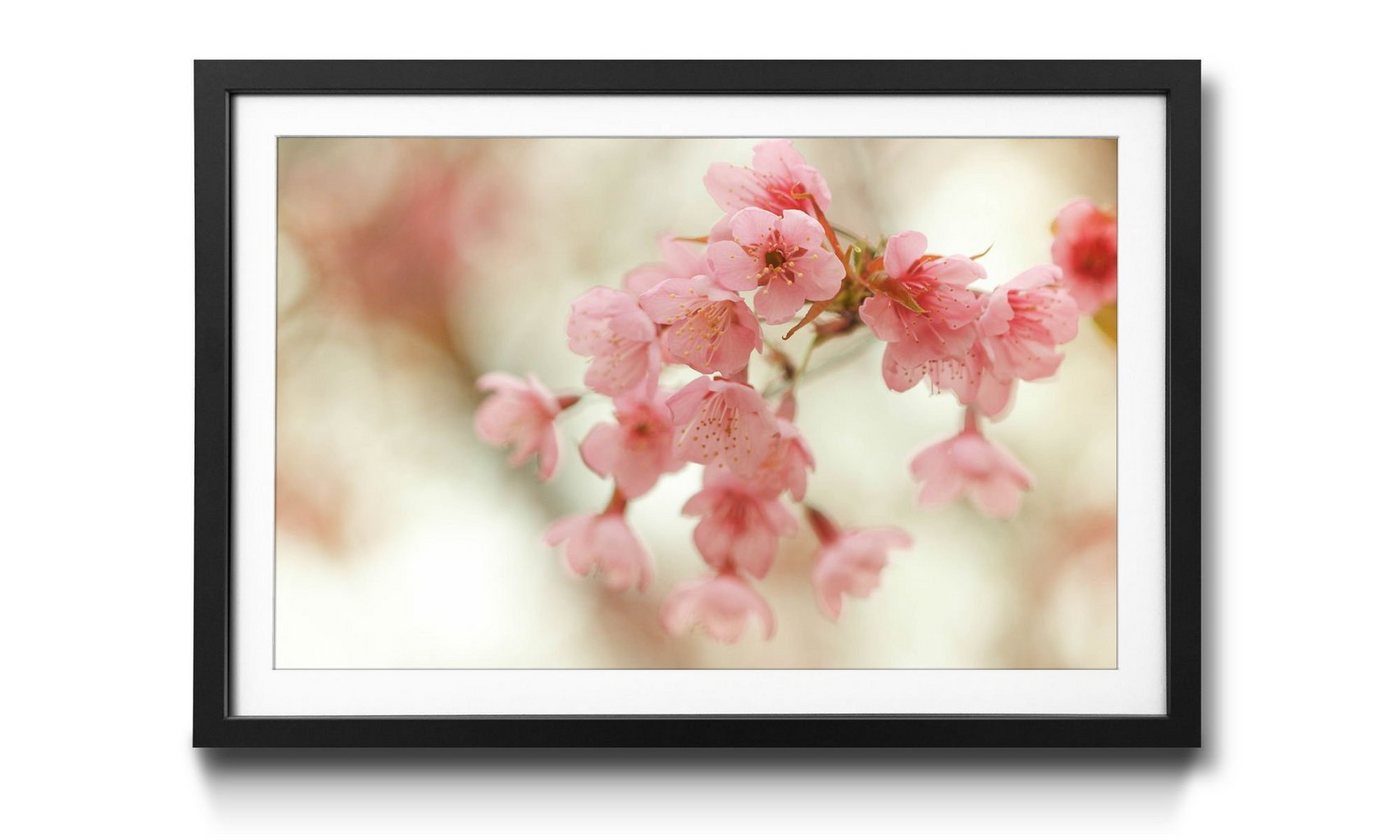WandbilderXXL Bild mit Rahmen Cherry Blossoms, Blumen, Wandbild, in 4 Größen erhältlich von WandbilderXXL