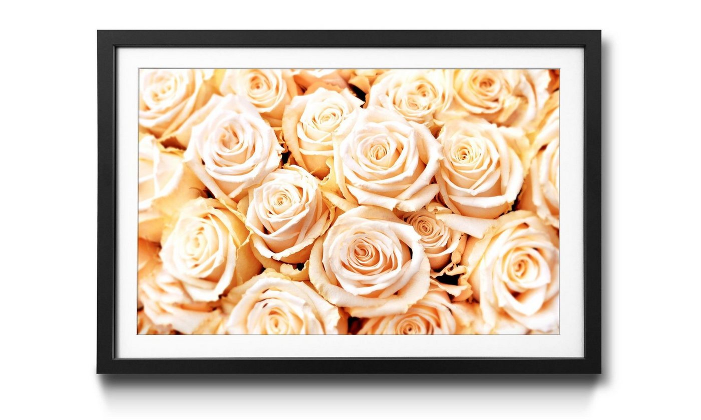 WandbilderXXL Bild mit Rahmen Creamy Roses, Blumen, Wandbild, in 4 Größen erhältlich von WandbilderXXL