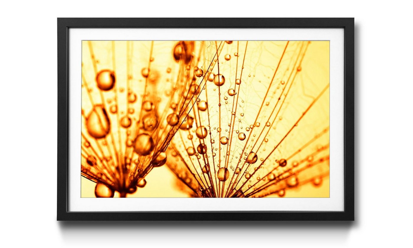 WandbilderXXL Bild mit Rahmen Dandelion Seed, Blumen, Wandbild, in 4 Größen erhältlich von WandbilderXXL