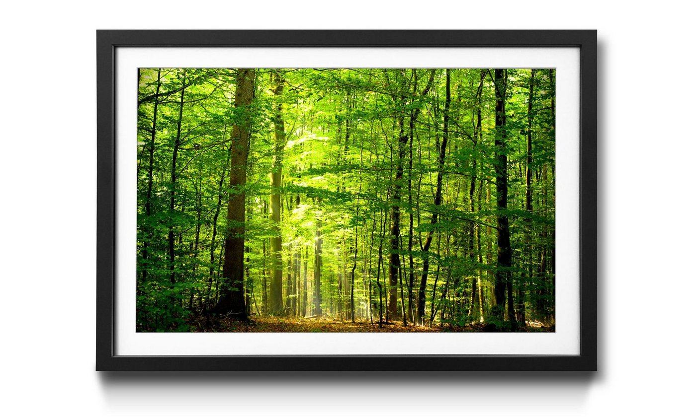 WandbilderXXL Bild mit Rahmen »Into The Forest«, Wandbild, in 4 Größen erhältlich von WandbilderXXL
