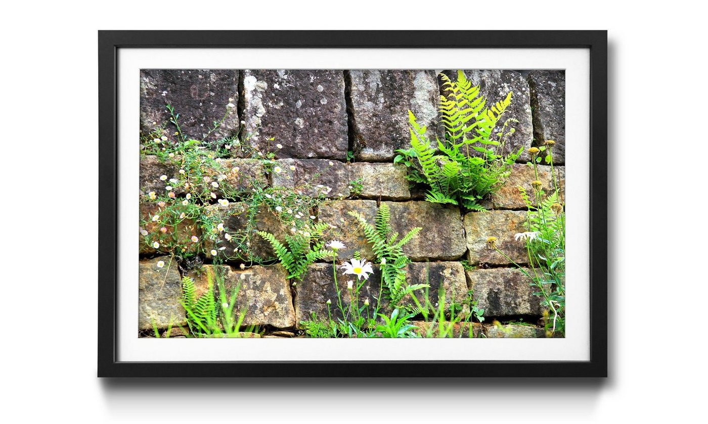 WandbilderXXL Bild mit Rahmen Nature Comes, Blumen, Wandbild, in 4 Größen erhältlich von WandbilderXXL