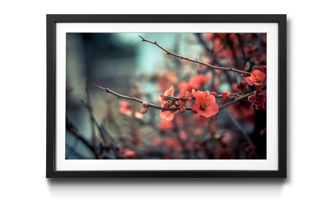 WandbilderXXL Bild mit Rahmen Pink Blossoms, Blumen, Wandbild, in 4 Größen erhältlich von WandbilderXXL