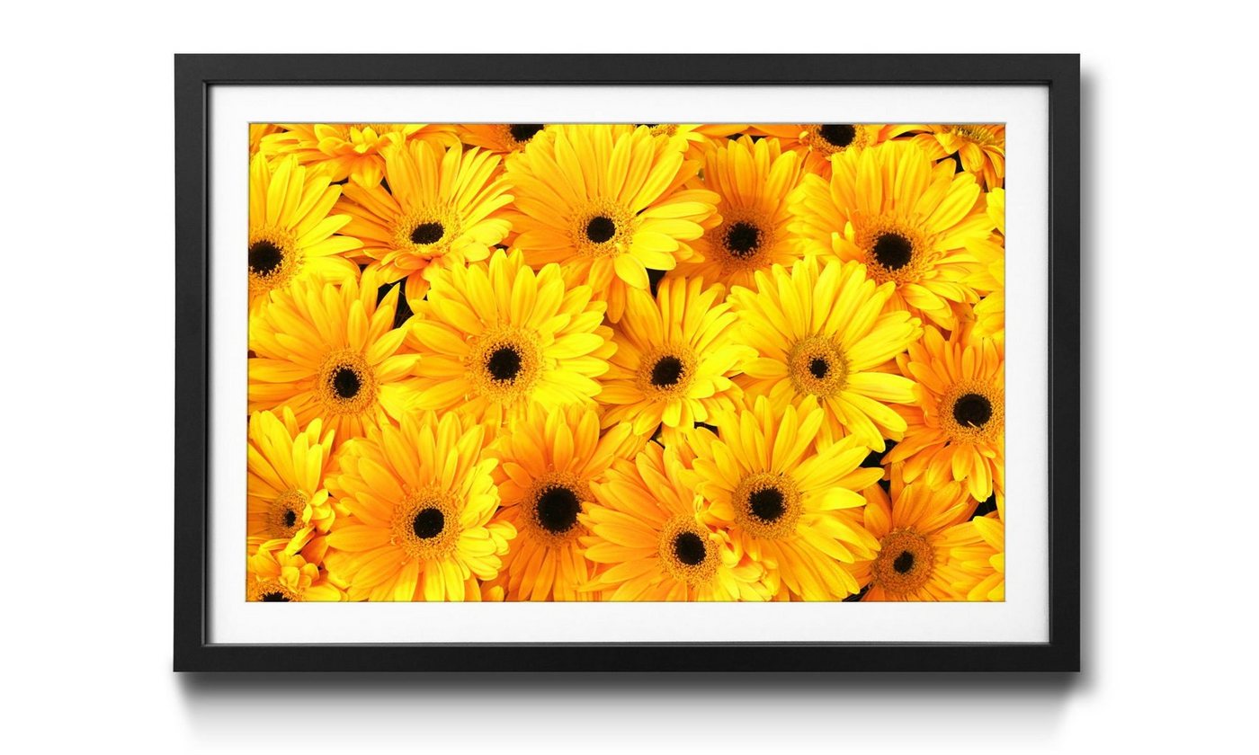 WandbilderXXL Bild mit Rahmen Sunny Mood, Blumen, Wandbild, in 4 Größen erhältlich von WandbilderXXL