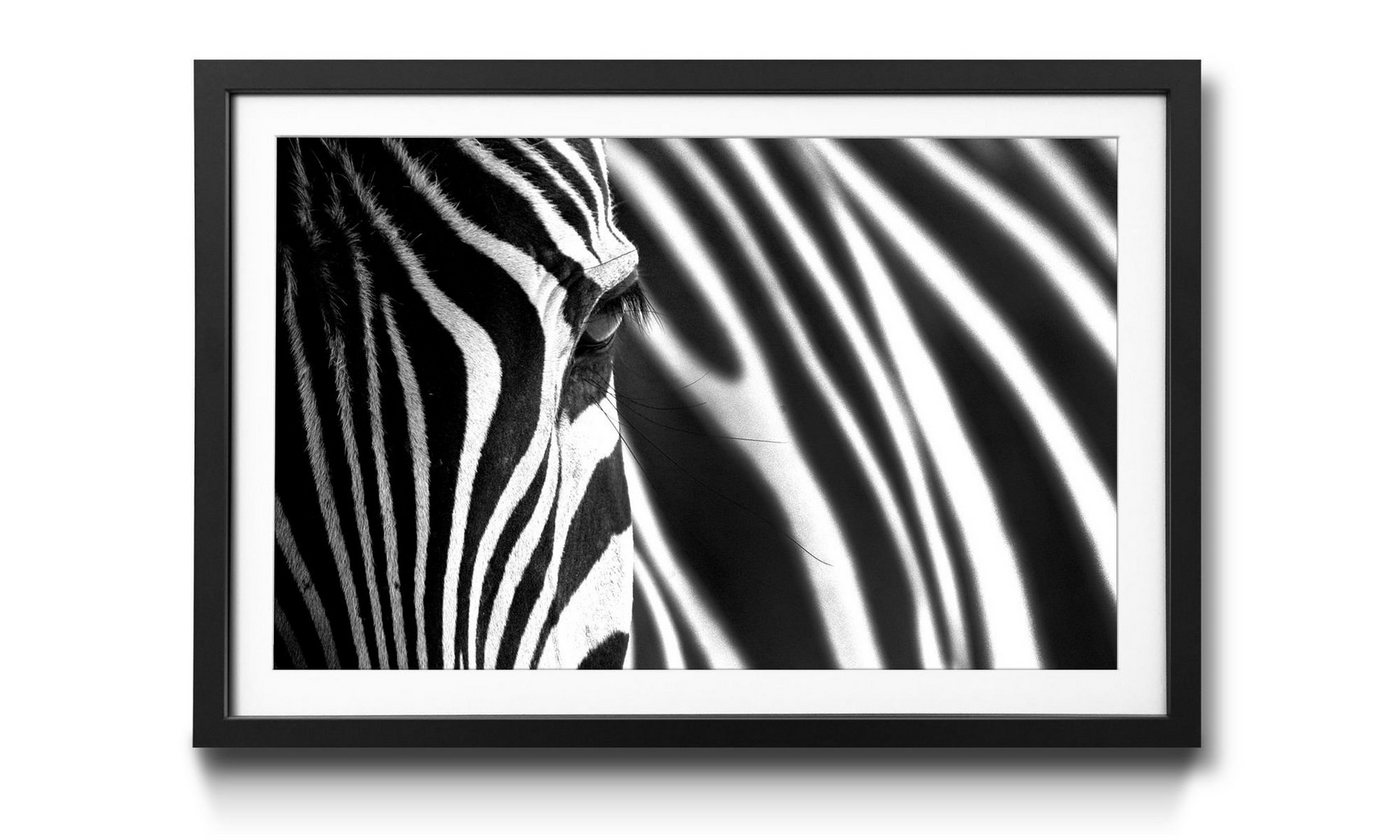 WandbilderXXL Kunstdruck Animal Stripes, Tiere, Wandbild, in 4 Größen erhältlich von WandbilderXXL