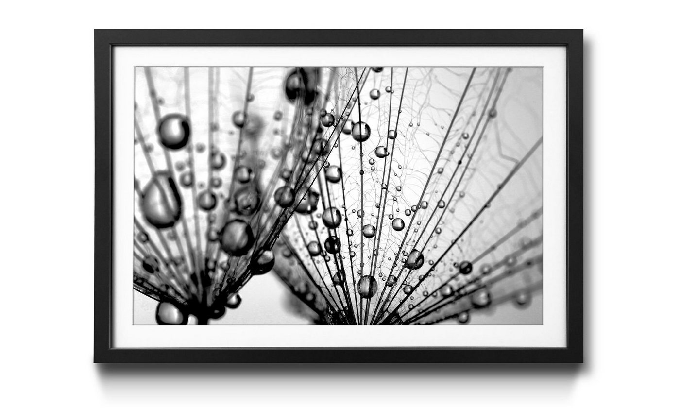 WandbilderXXL Kunstdruck Dandelion Seed, Blumen, Wandbild, in 4 Größen erhältlich von WandbilderXXL