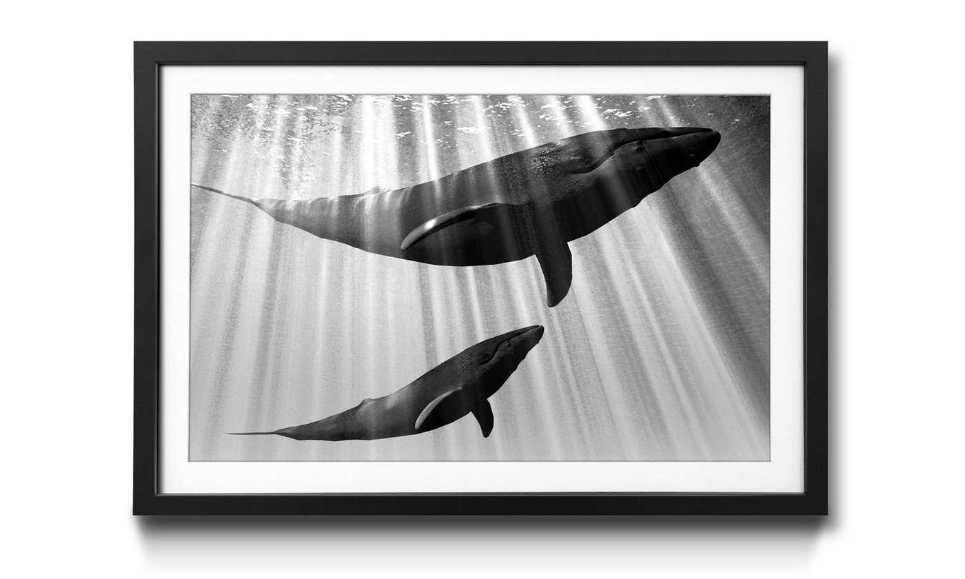 WandbilderXXL Kunstdruck Whales, Tiere, Wandbild, in 4 Größen erhältlich von WandbilderXXL