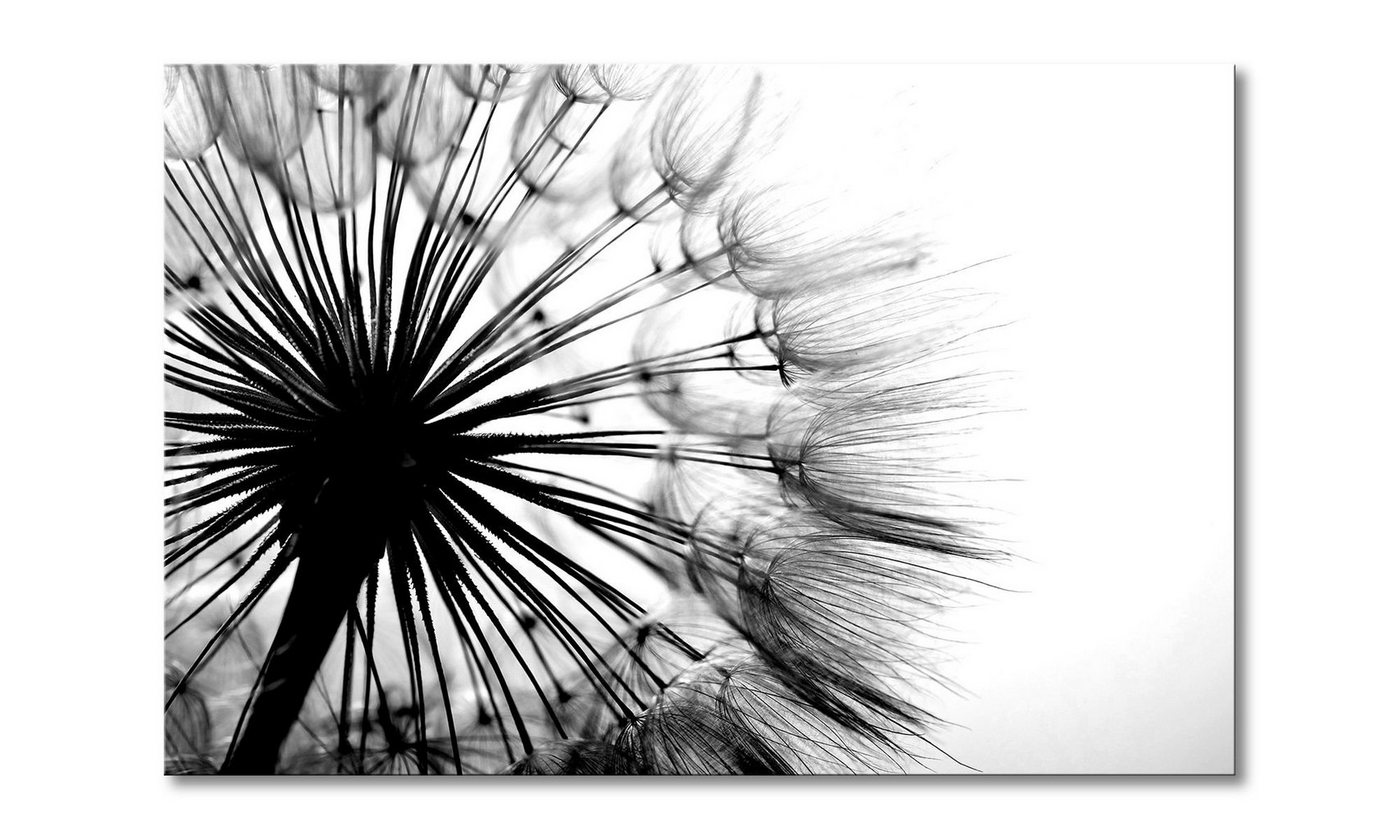 WandbilderXXL Leinwandbild Big Dandelion, Pusteblume (1 St), Wandbild,in 6 Größen erhältlich von WandbilderXXL