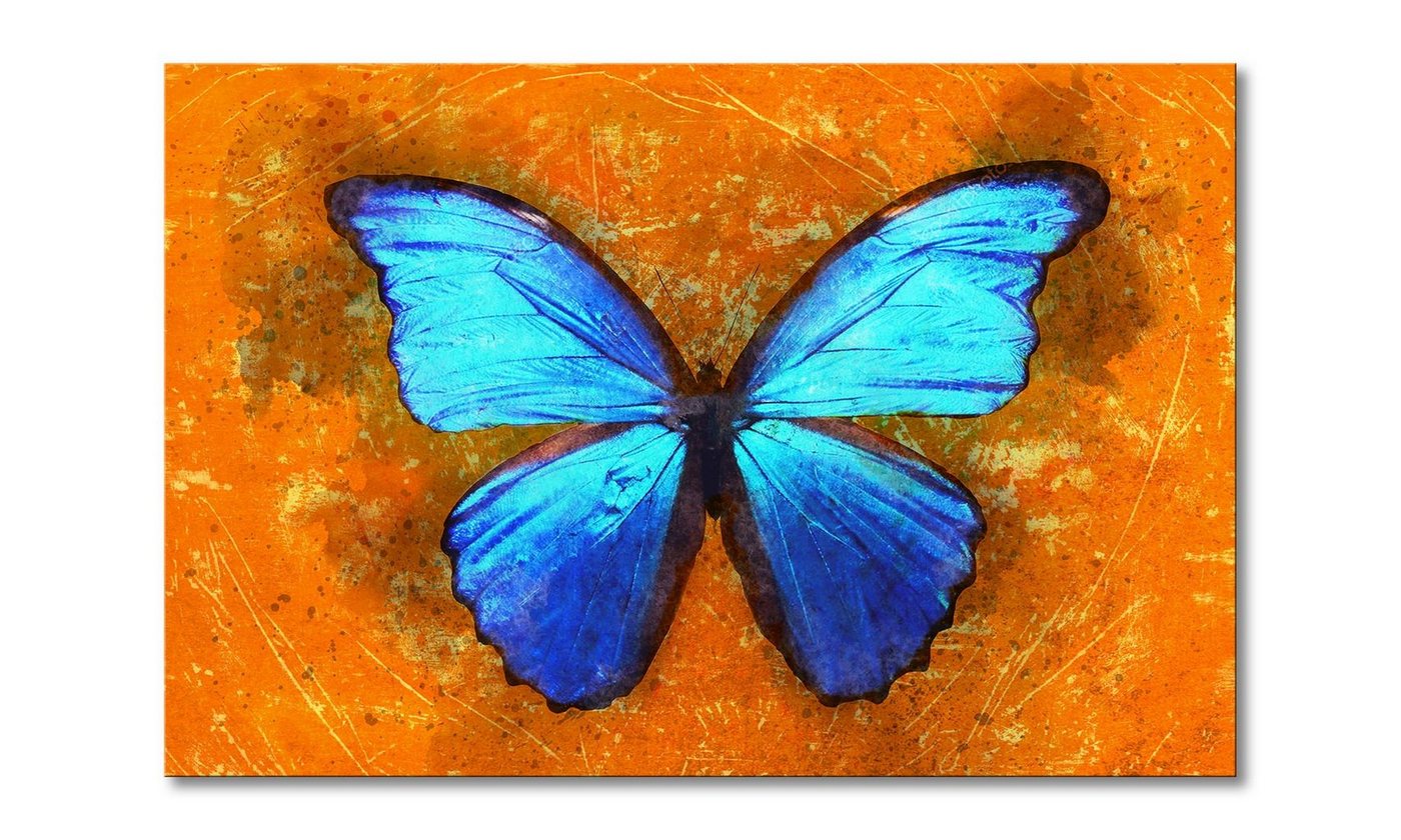 WandbilderXXL Leinwandbild Blue Wonder, Schmetterling (1 St), Wandbild,in 6 Größen erhältlich von WandbilderXXL