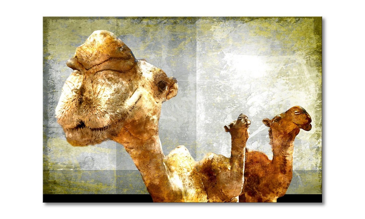 WandbilderXXL Leinwandbild Camel Gang, Tierportrait (1 St), Wandbild,in 6 Größen erhältlich von WandbilderXXL