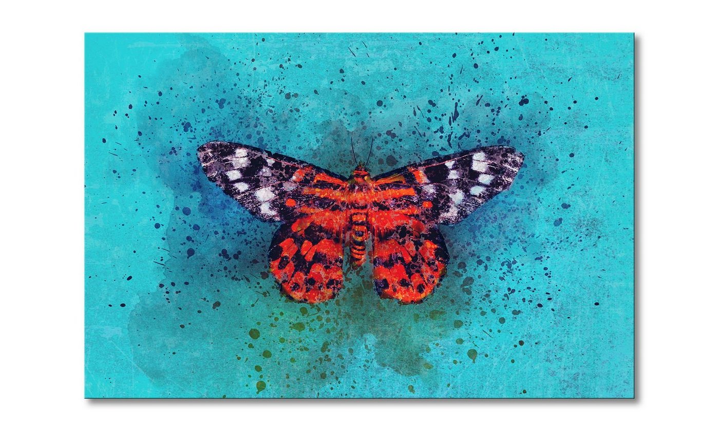 WandbilderXXL Leinwandbild Colorful Friend, Schmetterling (1 St), Wandbild,in 6 Größen erhältlich von WandbilderXXL