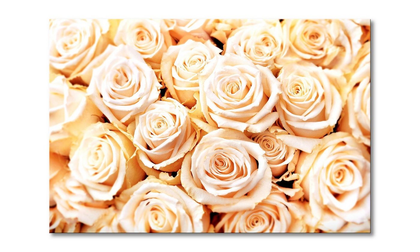WandbilderXXL Leinwandbild Creamy Roses, Blumen (1 St), Wandbild,in 6 Größen erhältlich von WandbilderXXL
