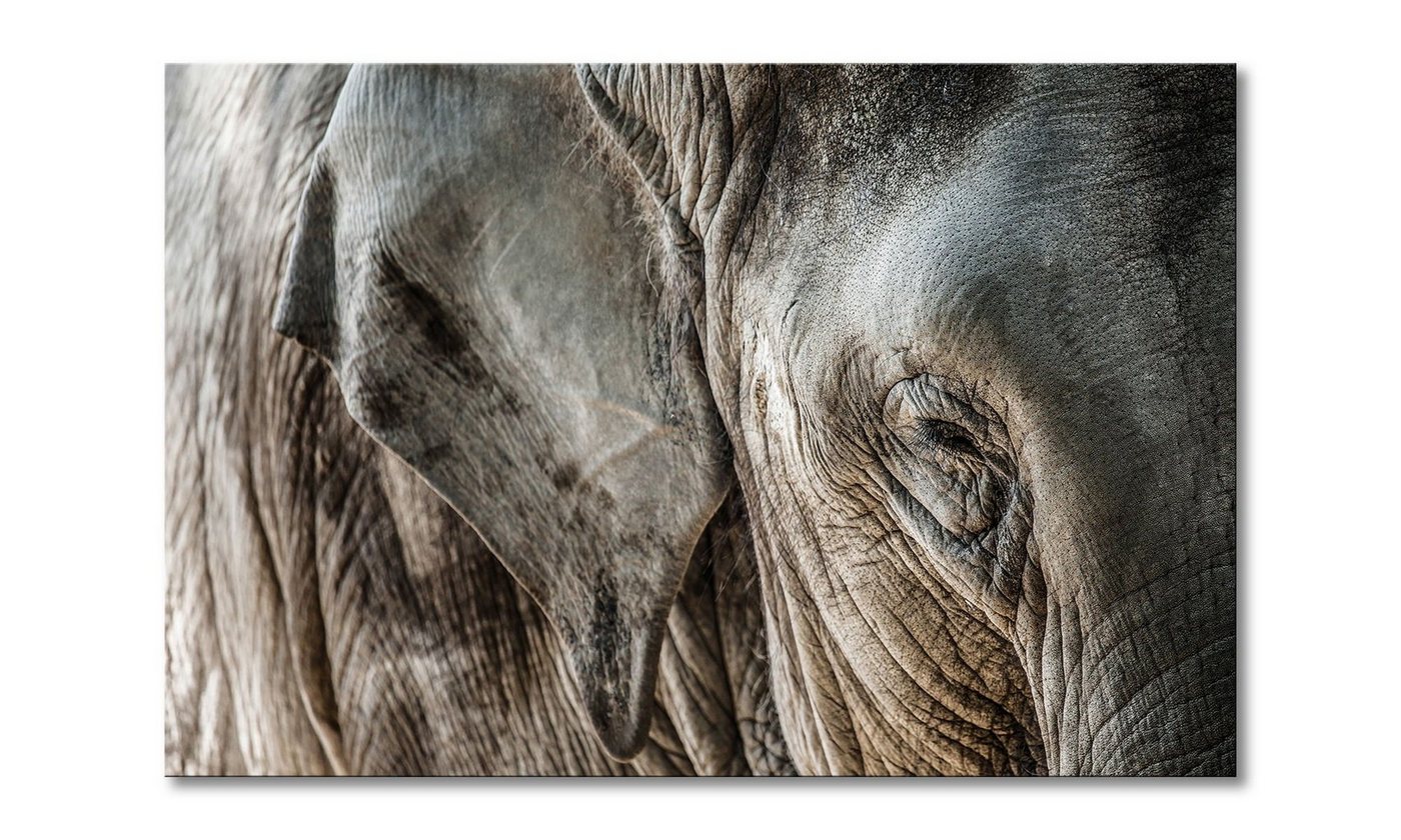 WandbilderXXL Leinwandbild Eye of Elephant, Tiere (1 St), Wandbild,in 6 Größen erhältlich von WandbilderXXL