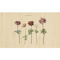 Wandkraft | Wanddekoration Blumen von Wandkraft