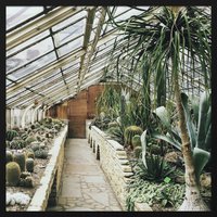 Wandkraft | Wanddekoration Botanischer Kaktus von Wandkraft