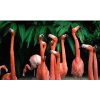 Wandkraft | Wanddekoration Bright Flamingo von Wandkraft