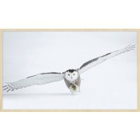 Wandkraft | Wanddekoration Bright Flight Wandkraft | Wanddekoration Bright Flight von Wandkraft