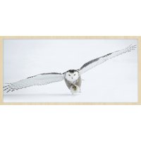 Wandkraft | Wanddekoration Bright Flight Wandkraft | Wanddekoration Bright Flight von Wandkraft