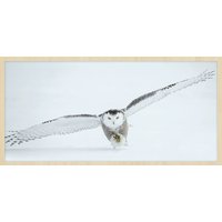 Wandkraft | Wanddekoration Bright Wing Winter Wandkraft | Wanddekoration Bright Wing Winter von Wandkraft