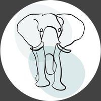 Wandkraft | Wanddekoration Fineline Elefant von Wandkraft