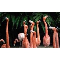 Wandkraft | Wanddekoration Flamingo von Wandkraft