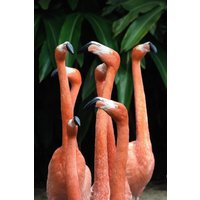 Wandkraft | Wanddekoration Flamingo von Wandkraft