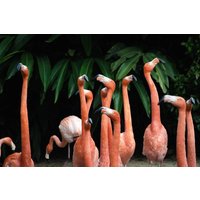 Wandkraft | Wanddekoration Flamingo von Wandkraft