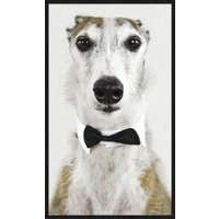 Wandkraft | Wanddekoration Gesicht Hund Wandkraft | Wanddekoration Gesicht Hund von Wandkraft