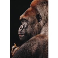 Wandkraft | Wanddekoration Gorilla von Wandkraft