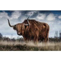 Wandkraft | Wanddekoration Highland von Wandkraft