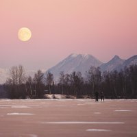 Wandkraft | Wanddekoration Menschliche Vorstellungskraft von Wandkraft