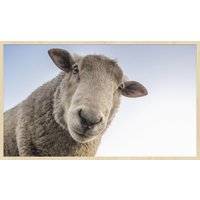 Wandkraft | Wanddekoration Schaf von Wandkraft