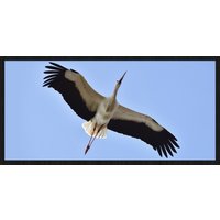 Wandkraft | Wanddekoration Storch von Wandkraft