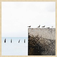 Wandkraft | Wanddekoration Summer Birds von Wandkraft