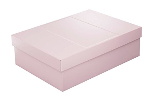 Infinity Boxes Metallbox + Deckel, Aufbewahrungsbox, rosa, lebensmittelecht, stapelbar, rechteckig, L25xB18xH8 cm von Infinity Boxes