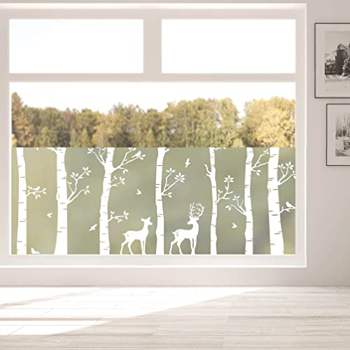 Sichtschutzfolie Birkenwald mit Hirschen Fensterfolie Fensterdeko Milchglasfolie, 75 cm hoch, 125 cm breit von Wandtattoo Loft