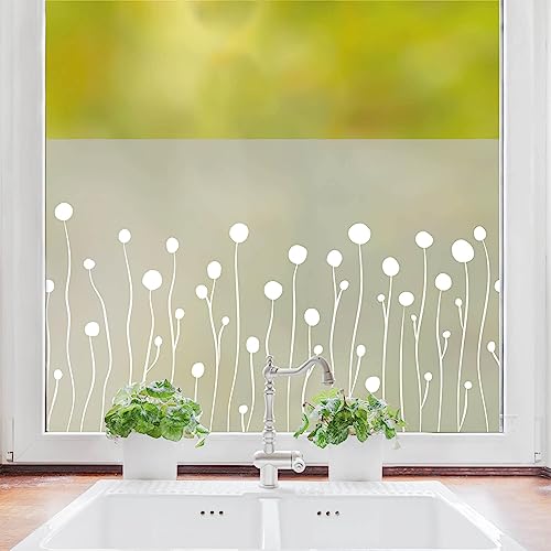 Sichtschutzfolie Craspedias Blumen Fensterfolie Fensterdeko Milchglasfolie, 120 cm hoch, 100 cm breit von Wandtattoo Loft