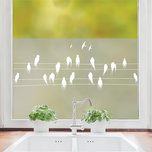 Sichtschutzfolie Fenster Vögel Leitung Fensterfolie Fensterdeko Milchglasfolie, 100 cm hoch, 200 cm breit von Wandtattoo Loft