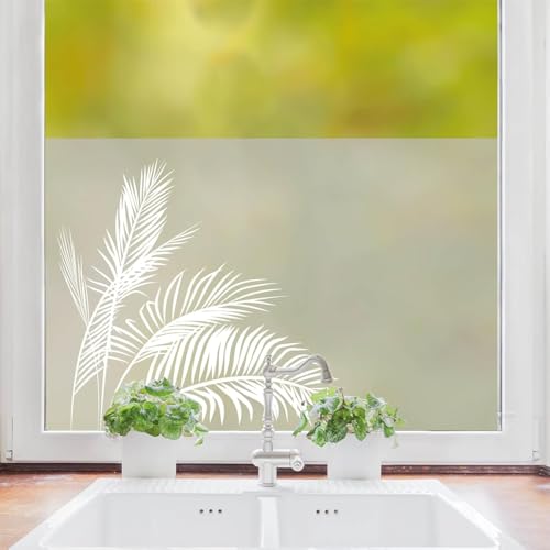Sichtschutzfolie Filigrane Palmenblätter Palmenwedel Fensterfolie Fensterdeko Milchglasfolie Sichtschutz, 120 cm hoch, 90 cm breit Sichtschutzfolie Filigrane Palmenblätter Palmenwedel Fensterfolie Fensterdeko Milchglasfolie Sichtschutz, 120 cm hoch, 90 cm breit von Wandtattoo Loft