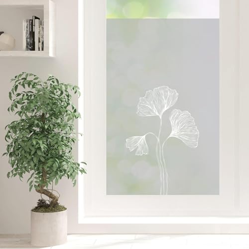 Sichtschutzfolie Ginkgo Florale Fensterfolie Fensterdeko Milchglasfolie Sichtschutz, 75 cm hoch, 100 cm breit Sichtschutzfolie Ginkgo Florale Fensterfolie Fensterdeko Milchglasfolie Sichtschutz, 75 cm hoch, 100 cm breit von Wandtattoo Loft