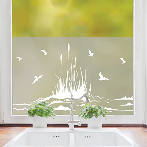 Sichtschutzfolie Vögel mit Schilf am Ufer, maritime Fensterfolie, Fensterdeko Milchglasfolie, 120 cm hoch, 100 cm breit von Wandtattoo Loft
