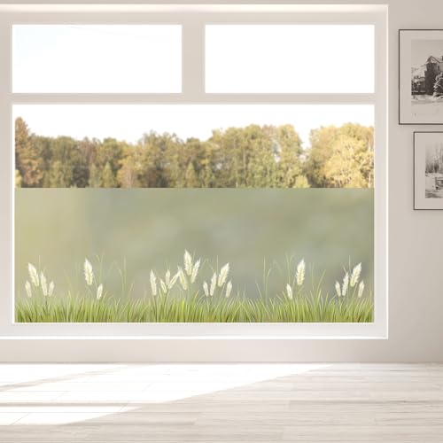 Sichtschutzfolie farbiges Pampasgras Gräser Fensterfolie Fensterdeko Milchglasfolie Sichtschutz Folie Fenster, 55 cm hoch, 125 cm breit von Wandtattoo Loft