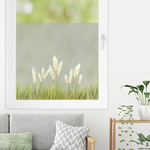 Sichtschutzfolie farbiges Pampasgras Gräser Fensterfolie Fensterdeko Milchglasfolie Sichtschutz Folie Fenster, 55 cm hoch, 65 cm breit von Wandtattoo Loft