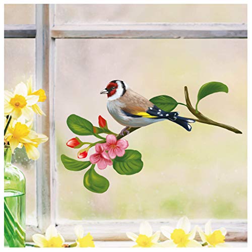 Wandtattoo Loft Fensterbilder Frühling Stieglitz Motiv – A4 Bogen, Wiederverwendbar – Frühlingsdeko Fenster Kinder, Frühlingsbild Fenster, Fensterdeko Frühling, Fensterfolie Frühling Selbstklebend von Wandtattoo Loft