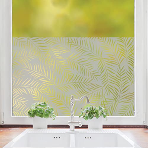 Wandtattoo-Loft Sichtschutzfolie Fenster Küche durchsichtige Palmenblätter Fensterfolie Fensterdeko Milchglasfolie Sichtschutz, 55 cm hoch, 150 cm breit von Wandtattoo Loft