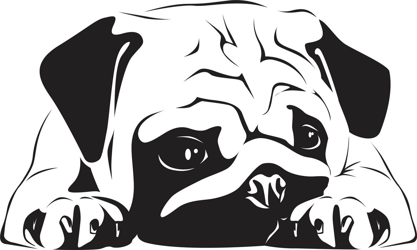 Wandtattoodesign Wandtattoo Aufkleber Wallprint: Mops Kopf 100x60cm Selbstklebend (1 St), Selbstklebend, Rückstandslos entfernbar von Wandtattoodesign