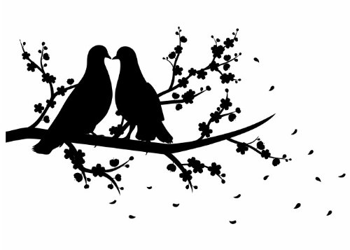 Wandtattooladen Wandtattoo - Tauben-Paar Größe:40x23cm Farbe: schwarz von Wandtattooladen