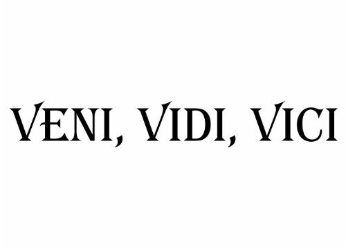 Wandtattooladen Wandtattoo - Veni, Vidi, Vici - 1 Größe:70x10cm Farbe: schwarz von Wandtattooladen