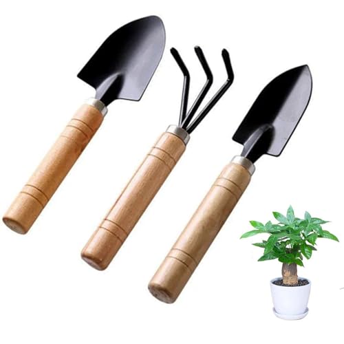 Gartengeräte Set, 3 Stück Mini-Gartengeräte-Set, Gartenschaufel, Kleine leichte Harke Schaufel für Mini-Pflanzen Sukkulenten Topfpflanzen Bonsai Werkzeuge Gartenarbeit von Wanfoou