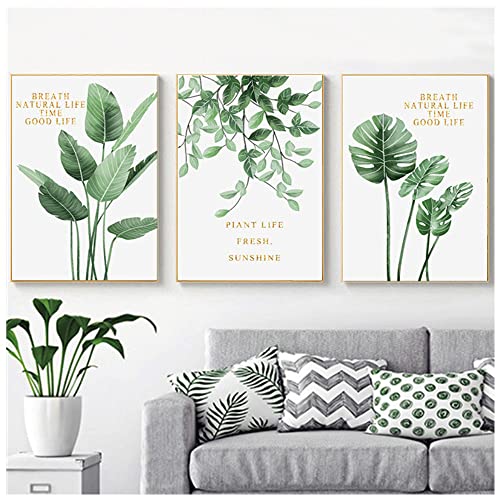 Wanfoou 3 Stück Bilder Pflanzen Premium Poster-Set, schlafzimmer deko wand, Bilder Wohnzimmer Poster & Kunstdrucke Ohne Bilderrahmen, Botanik grün, Blätter Kunstdruck (30 * 40 cm) von Wanfoou