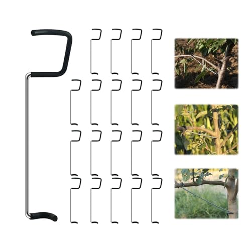 Wangark 20/30 Stück Astspreizer für Obstbäume, 26CM Aststütze für Obstbäume Astklammern M Förmiger Astspreizer Metall Zweigspreize Tragbare Astzieher Halter für Obstzweige Pflanzenstütze für Gartenzwe von Wangark